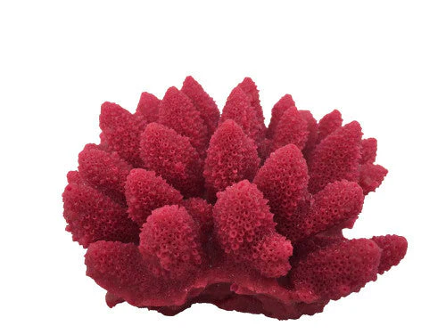 Weco South Pacific Coral Acorapora Humilis Ornament Rose SM - Image 2