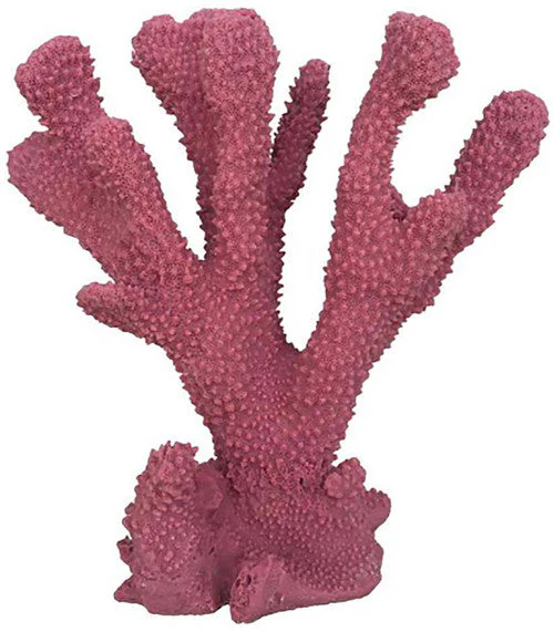 Weco South Pacific Coral Cats Paw Ornament Rose MD - Image 2