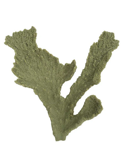 Weco South Pacific Coral Elkhorn Ornament Grey SM - Image 2