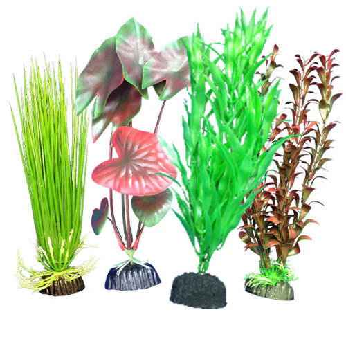 Weco Freshwater Aquarium Plant 101 Assorted Multipack - Image 2