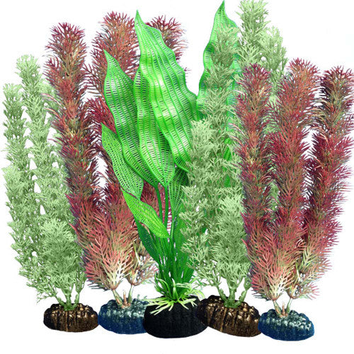 Weco Freshwater Aquarium Plant 102 Assorted Multipack - Image 2