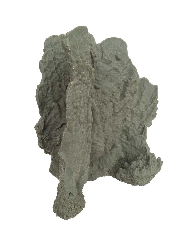 Weco Products South Pacific Coral Blueridge Ornament Grey Large