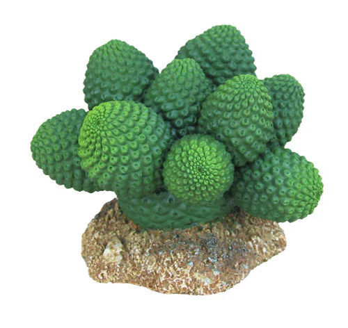Weco Wecorama Badlands Pointed Sonoran Cactus Terrarium Ornament Brown, Green 3 in - Image 2