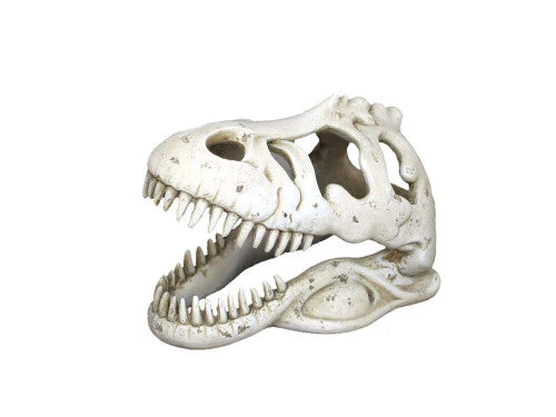 Weco Wecorama Catacombs T-REX Skull Aquarium Ornament White - Image 2