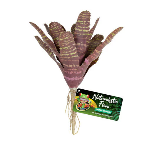Zoo Med Naturalistic Flora Chestnut Bromeliad Terrarium Plant Purple, Tan - Image 2