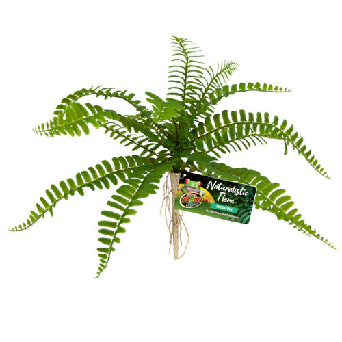 Zoo Med Naturalistic Flora Sword Fern Terrarium Plant Green, Tan - Image 2