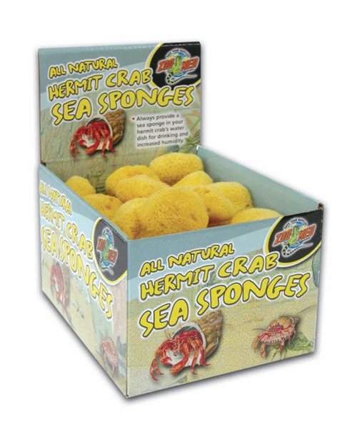 Zoo Med All Natural Hermit Crab Sea Sponge Yellow 36 Count - Image 2
