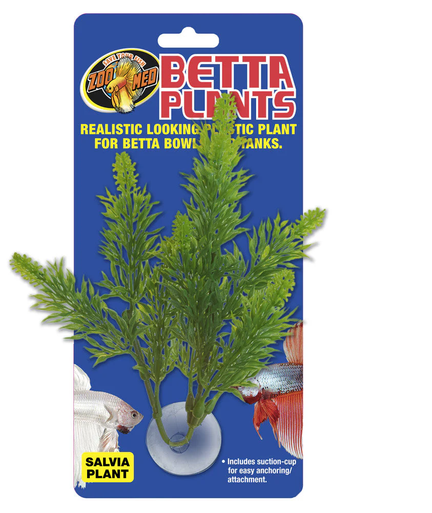Zoo Med Betta Plant Salvia Green