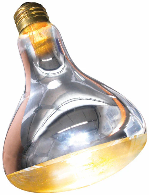 Zoo Med Repti Basking Spot Lamp 250 Watt - Image 2