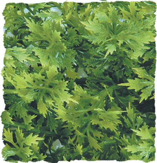Zoo Med Natural Bush Australian Maple Plants Green 14in SM - Image 2
